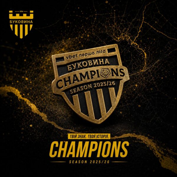 Чорна футболка "Champions"