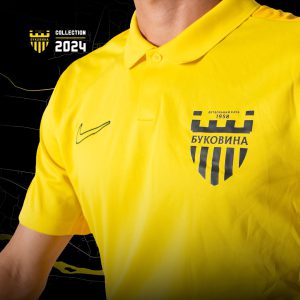 Парадна футболка Nike (Поло)